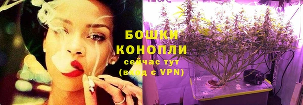 PSILOCYBIN Костерёво