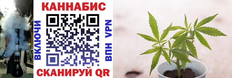 Бошки Шишки VHQ  Якутск 